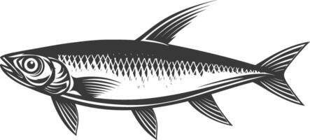 silhouet sardine vis dier zwart kleur enkel en alleen vol lichaam vector