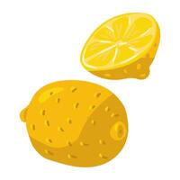 een illustratie met geheel en gesneden citroenen, ideaal voor culinaire ontwerpen zo net zo recept kaarten, menu lay-outs, of Product etiketten, toevoegen een vers en levendig tintje naar voedselgerelateerd inhoud vector
