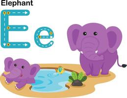 alfabet brief e-olifant met tekenfilm woordenschat illustratie, vector