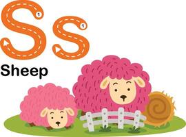 alfabet brief s-schapen met tekenfilm woordenschat illustratie, vector