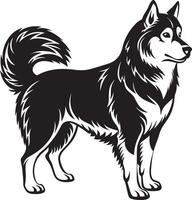 hond silhouet. zwart en wit. illustratie in wit achtergrond vector