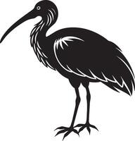 van een silhouet van een ibis Aan een wit achtergrond vector