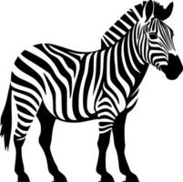 zebra - hoog kwaliteit logo - illustratie ideaal voor t-shirt grafisch vector