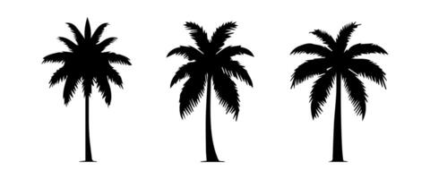 zwart palm bomen reeks geïsoleerd Aan wit achtergrond. palm silhouetten. ontwerp van palm bomen voor affiches, banners en promotionele artikelen. illustratie vector