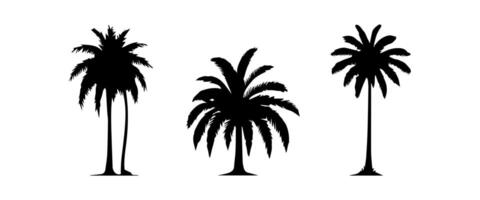 zwart palm bomen reeks geïsoleerd Aan wit achtergrond. palm silhouetten. ontwerp van palm bomen voor affiches, banners en promotionele artikelen. illustratie vector