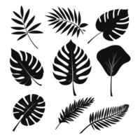 exotisch blad reeks 2d verzameling van tropisch bladeren silhouet vector