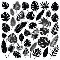exotisch blad reeks verzameling van tropisch bladeren silhouet vector