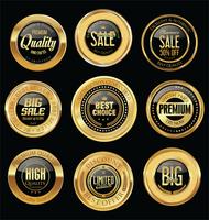 Luxe premium gouden insignes en labels vector