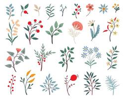 wild bloemen verzameling. vector