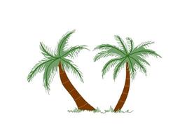 schattig hand- getrokken palm boom. vlak illustratie geïsoleerd Aan wit achtergrond. tekening tekening. vector