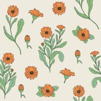 gekleurde botanisch naadloos patroon met bloeiend calendula plant, besnoeiing bloem hoofden en bloemknoppen hand- getrokken. mooi geneeskrachtig bloeiend kruid. illustratie voor textiel afdrukken, behang. vector