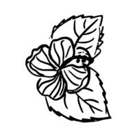 hand getekend bloem. botanisch element vector