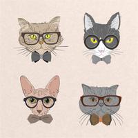 Verzameling van hipster katten vector