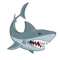 Haaien teken vector