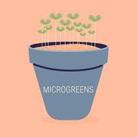 microgroenten. vers biologisch gekiemd zaden. gezond voeding concept. vlak illustratie. vector