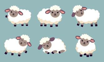 reeks van schattig tekenfilm schapen. illustratie vector