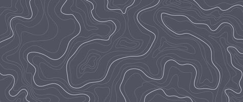 topografisch kaart patroon achtergrond . abstract berg terrein kaart achtergrond met abstract vorm lijn textuur. ontwerp illustratie voor muur kunst, kleding stof, verpakking, web, banier, behang. vector