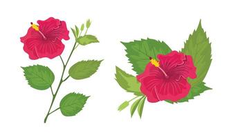 hibiscus bloem illustratie. hibiscus klem kunst. exotisch tropisch bloem. zomer bloem vlak in tekenfilm stijl geïsoleerd Aan wit achtergrond. vector