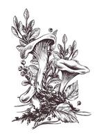 Woud chanterelle champignons met bosbes struiken, mos en herfst bladeren. grafisch illustratie hand- getrokken in zwart inkt. vooraf gemaakt samenstelling eps . vector