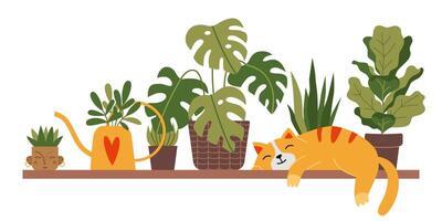 een schattig kat is slapen Aan een plank De volgende naar kamerplanten, tekenfilm stijl. ingemaakt planten voor interieur. stedelijk knus huis tuinieren hobby. modieus modern geïsoleerd illustratie, hand- getrokken, vlak vector