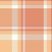 textiel ontwerp van getextureerde plaid. geruit kleding stof patroon swatch voor shirt, jurk, pak, omhulsel papier afdrukken, uitnodiging en geschenk kaart. vector