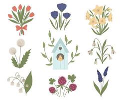 vector set van schattige platte Lentebloemen en spreeuw-huis met kuiken erin. eerste bloeiende planten illustratie met vogelhuisje. bloemen illustraties collectie geïsoleerd op een witte achtergrond.