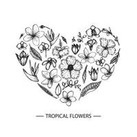 vector tropische bloemen in de vorm van een hart. grafische hand verdrinken bloemen illustratie. handgetekende plumeria, canna, aloë, bougainvillea, hibiscus, protea, orchidee, strelitzia geïsoleerd op wit