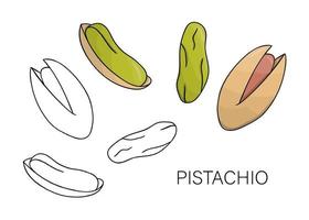 vector zwart-wit en gekleurd pistache icoon. set van geïsoleerde noten. voedsel illustratie in cartoon of doodle stijl geïsoleerd op een witte achtergrond.