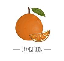 vector gekleurde illustratie van oranje geïsoleerd op een witte achtergrond. citrus icoon. fruitconcept. vers voedsel illustratie.