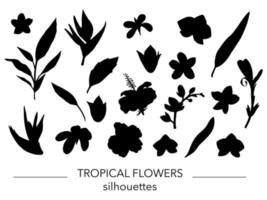 vector set van tropische bladeren en bloemen silhouetten. stencil van jungle gebladerte. handgetekende palmboom, banaan, monstera, dieffenbachia, varen, alocasia, plumeria, orchidee. tropische blad illustraties