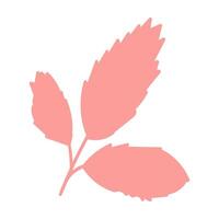 roze boom blad herbarium helder silhouet icoon vector