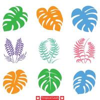 exotisch gebladerte levendig tropisch blad silhouetten voor creatief ontwerpen vector
