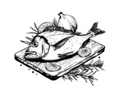 dorada vis Aan een bord met rozemarijn. voedsel. zwart en wit schets. illustratie. vector