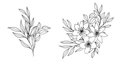 contour tak, bloemen en bladeren composities. elegant kunst voor decoratie. hand- getrokken monochroom botanisch illustratie voor achtergronden. sjabloon voor bruiloft kaarten en polygraaf, logo, tatoeëren vector