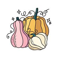 herfst pompoenen schattig hand- getrokken illustratie. aanbiddelijk kawaii verdrievoudigen samenstelling. tekenfilm vlak clip art voor seizoensgebonden groet kaarten, kleding afdrukken, stickers, verpakking. vector