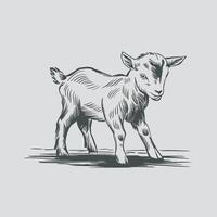 zwart en wit illustratie van een geit vector