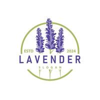 lavendel logo elegant Purper bloem fabriek illustratie bloemen ornament ontwerp vector