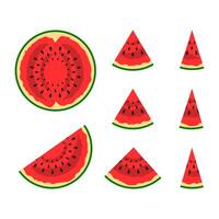 watermeloen tekenfilm BES fruit sappig zoet gezond groen biologisch smakelijk rijp wit kleur eetpatroon reeks voeding voorwerp kleurrijk poster etiket pakket vector