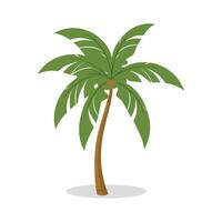 palmboom illustratie vector