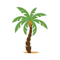 palmboom illustratie vector