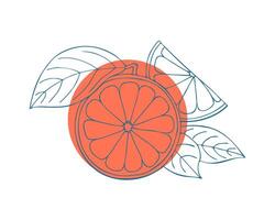 grapefruit blauw gestileerd hand- tekening schetsen Aan rood cirkel, wit achtergrond. label, embleem, logo, icoon. vector