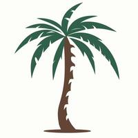 palmboom illustratie vector