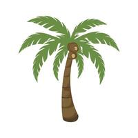 palmboom illustratie vector