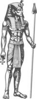 Farao mannetje de Egypte mythisch schepsel beeld gebruik makend van oud gravure stijl vector