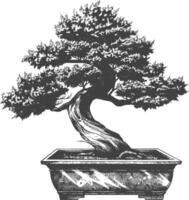 bonsai boom afbeeldingen gebruik makend van oud gravure stijl lichaam zwart kleur enkel en alleen vector