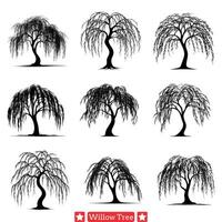 sylvan elegantie wilg boom verzameling voor tijdloos natuurlijk kunstenaarstalent vector