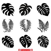 tropisch kalmte ingewikkeld blad silhouetten voor natuur geïnspireerd artwork vector