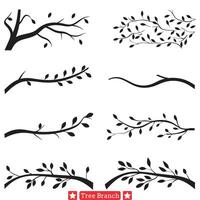 boombewonend schoonheid elegant boom Afdeling silhouetten reeks vector