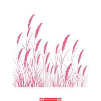 botanisch sier- gras silhouetten natuurlijk elegantie in het formulier vector
