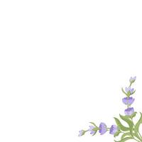 decoratief kader van lavendel bloemen voor uw ontwerp. illustratie geïsoleerd Aan wit achtergrond. vector